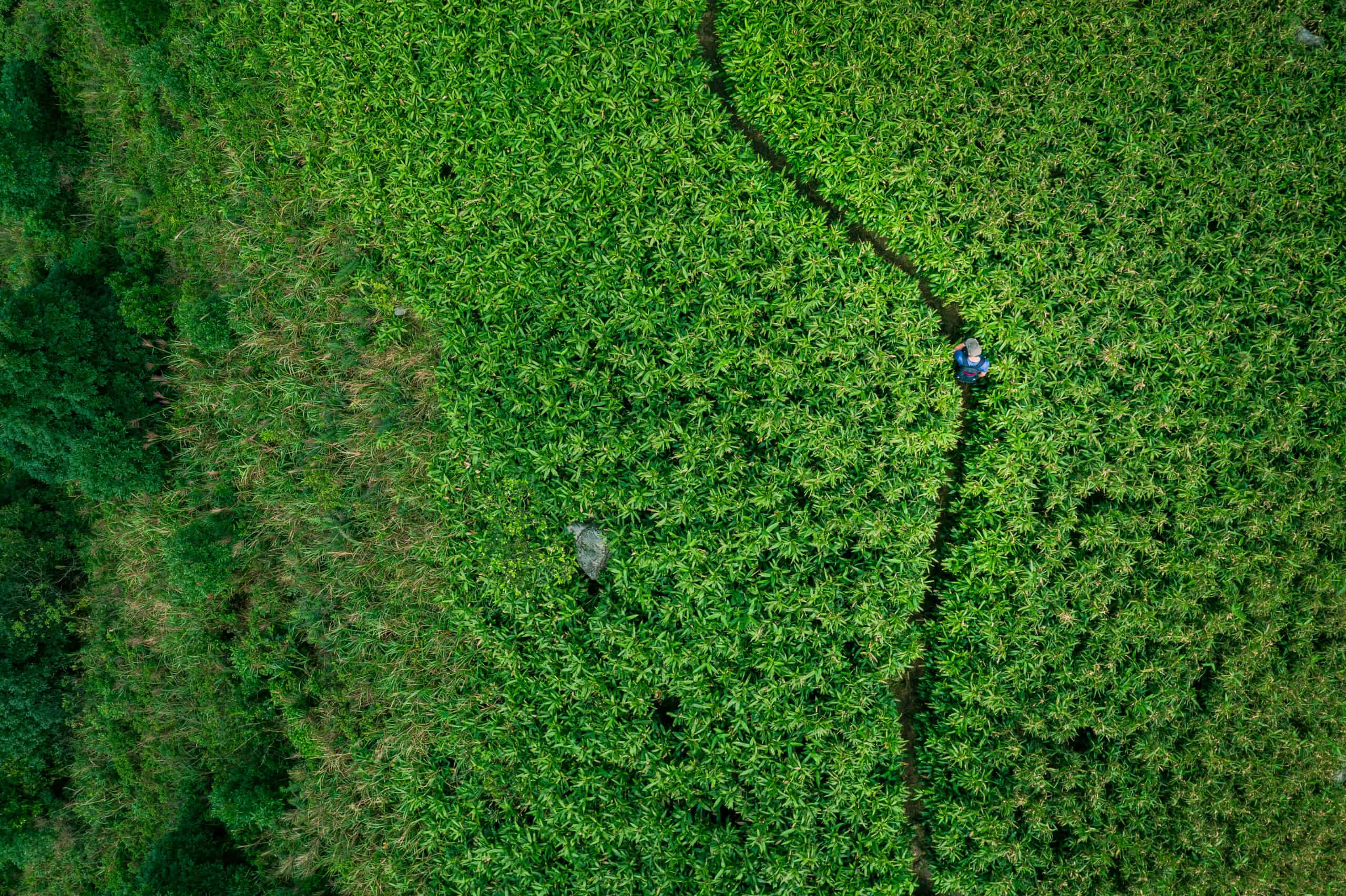 M&A Due Diligence: Manage Risk and Protect Value