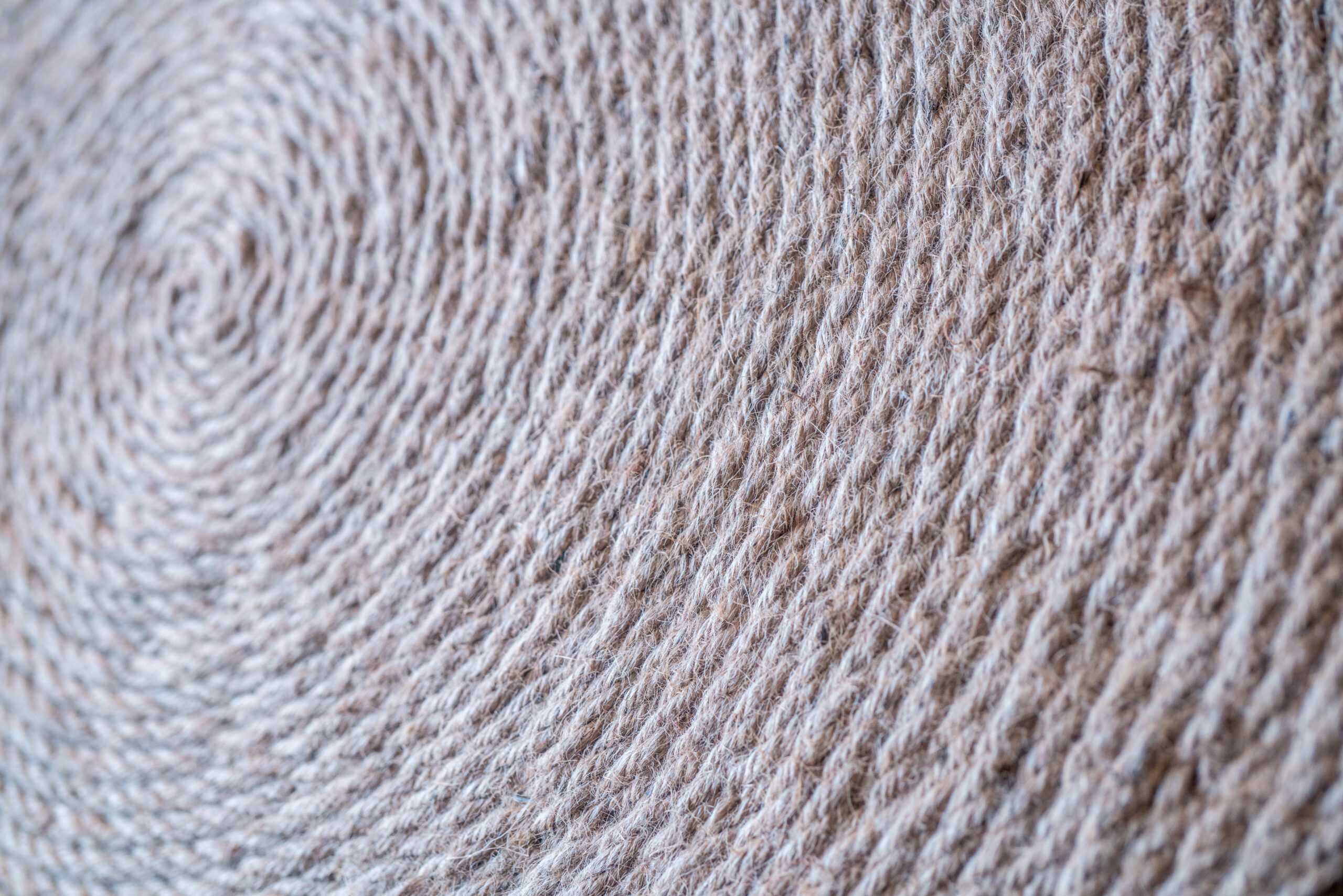 Industrial Hemp: New Markets for the Ancient Plant