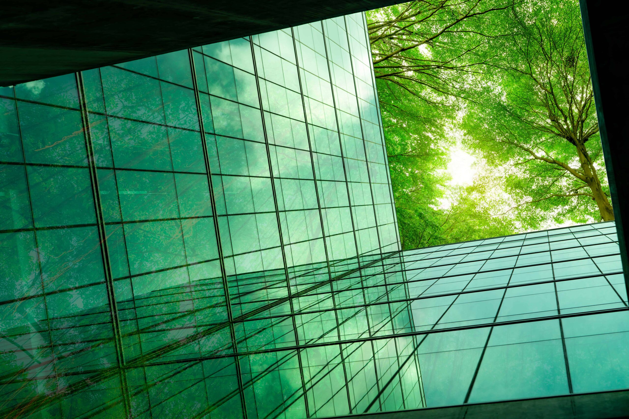 Environmental, Social and Governance (ESG) Program Trends in 2022