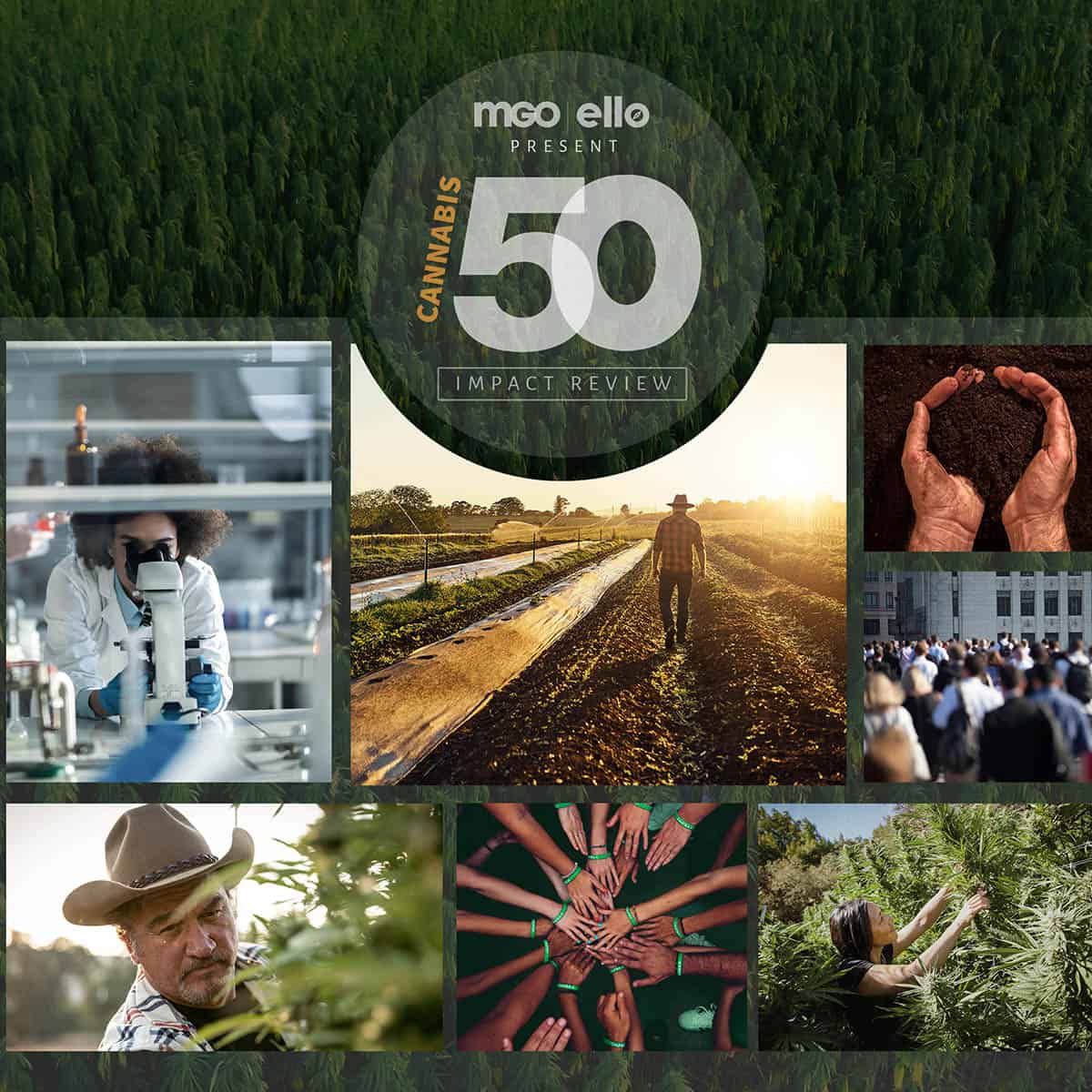 Cannabis 50 Download