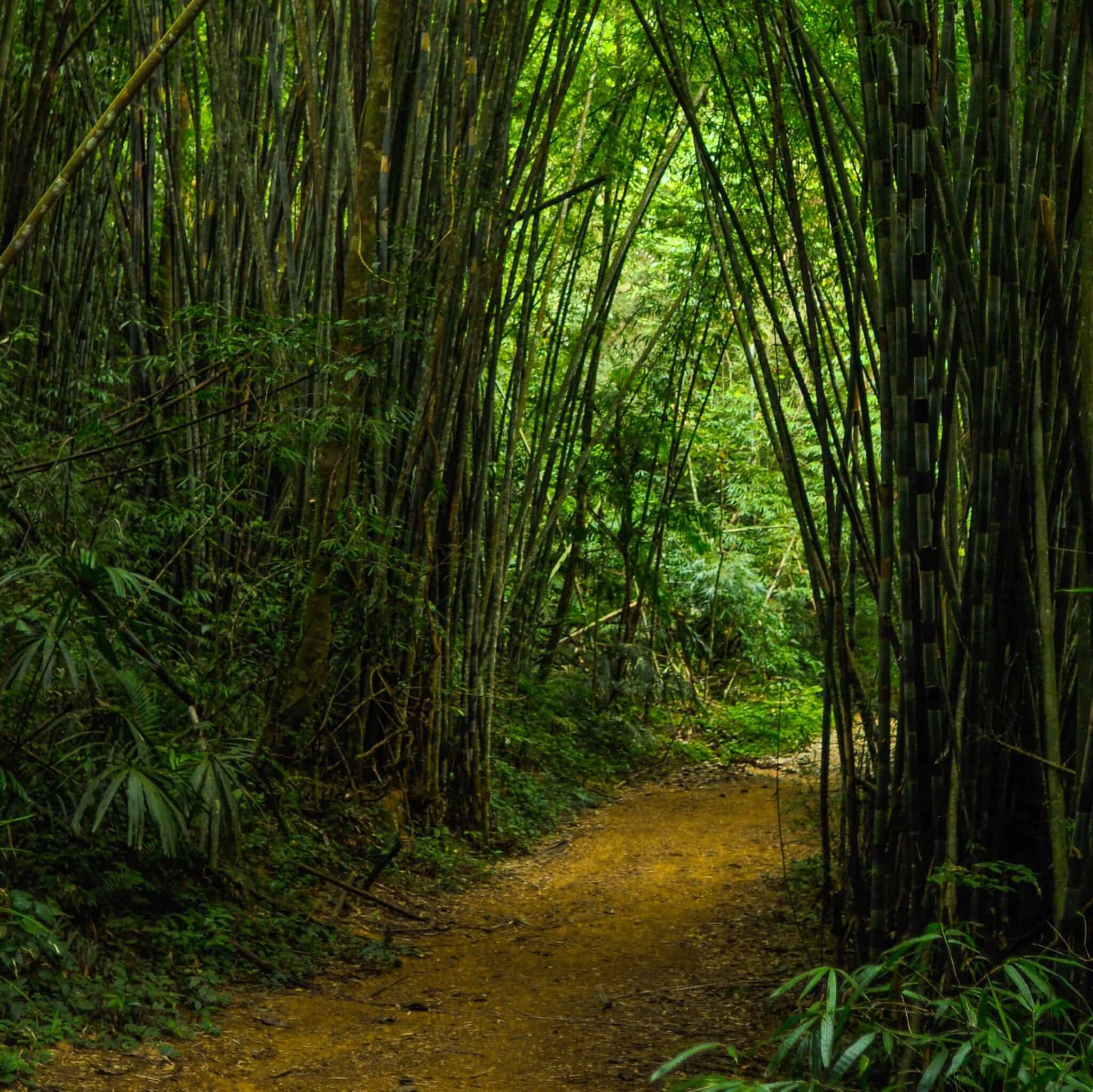 Special Report: Data, Analysis & Trends Shaping the Industry